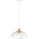 Arlo 1 Light 14.1 inch Matte White Indoor Pendant Ceiling Light